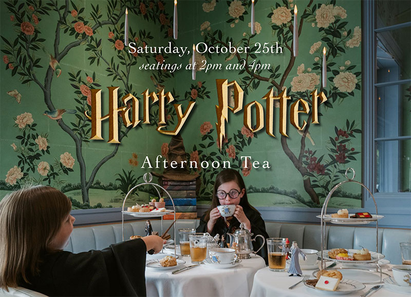 Harry Potter